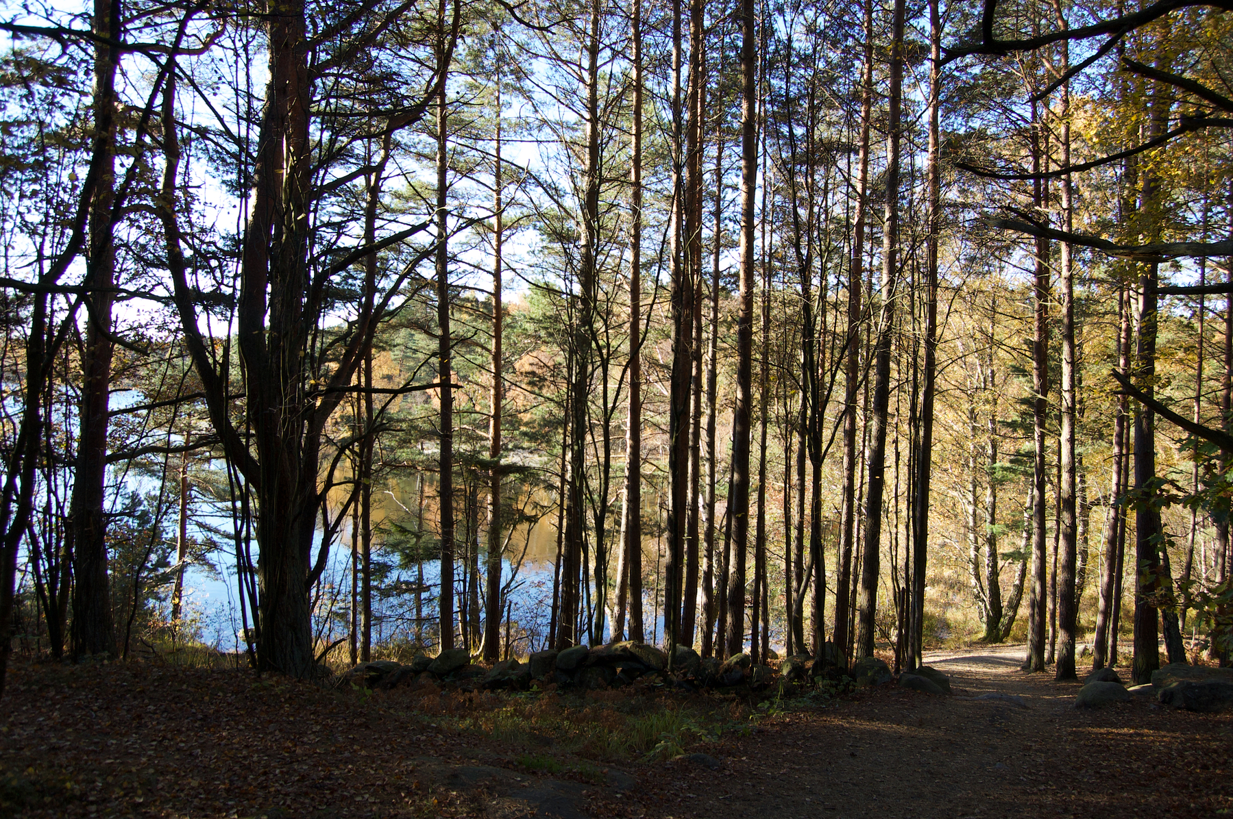 Trail running i Sisjön, nära Göteborg